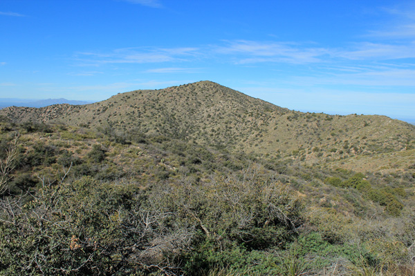 Black Mountain summit from Point 5327