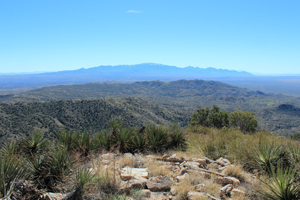 Looking south towards the Santa Catalina Mountains