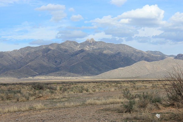 Dos Cabezas Peaks from Arizona Highway 186 SE of Willcox