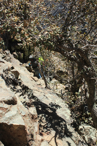 Eric descends through thick brush below the South Peak