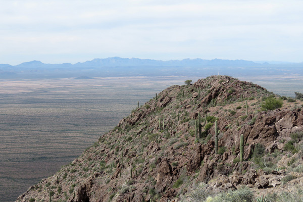 The Ajo Range to the west from the South Mountain Benchmark