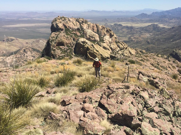 Approaching the Cochise Head nose summit above the forehead (Michael Berry)