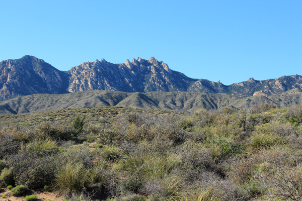 Pinnacle Ridge from the road leading to Sand Tank/Trail 66