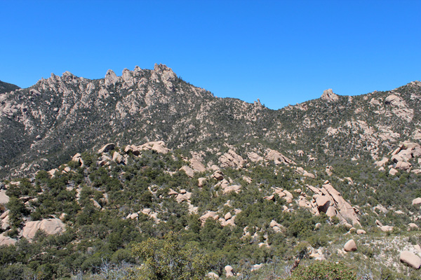 Pinnacle Ridge from Point 6420