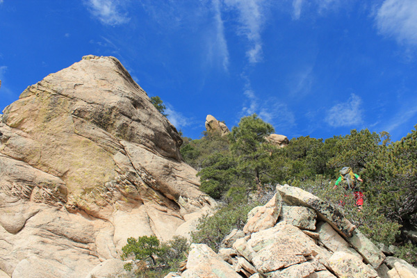 Adam leads the last brushy gully towards the summit