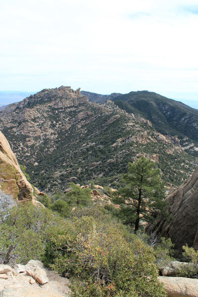 Looking east across Pinnacle Ridge towards Cottonwood Mountain.