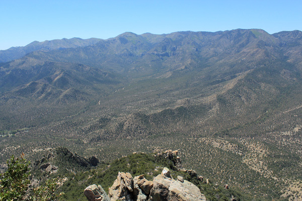 The Chiricahua Crest rising to the west of Silver Peak