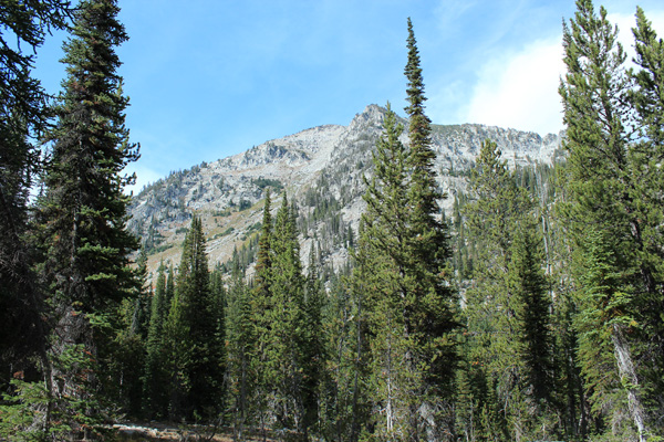 The South Gully of Elkhorn Peak from the Copper Creek Trail