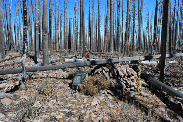 Escudilla Mountain summit