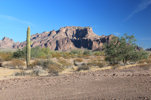 Signal Peak from the West, Kofa Mountains
