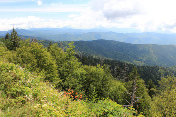 View towards the southeast from high on the Clingmans Dome Road