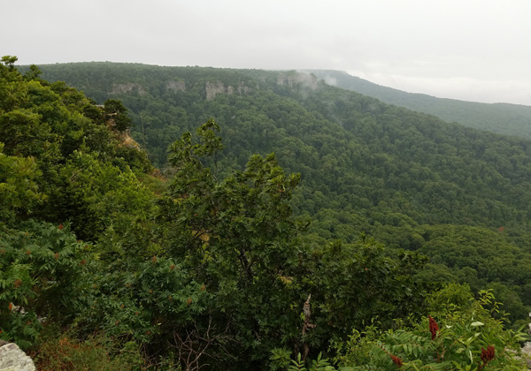 View of cliffs from Cameron Bluff Overlook