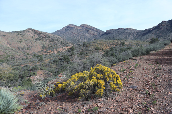 El Capitan Mountain from the primitive road. The summit is hidden behind the distant high point.