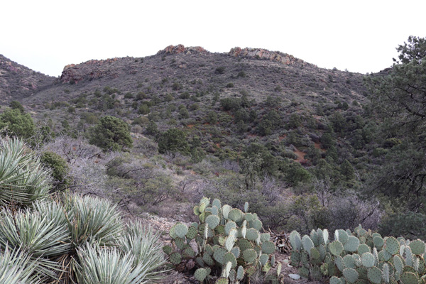 The notch in the WSW Ridge cliffs from the end of the primitive road.