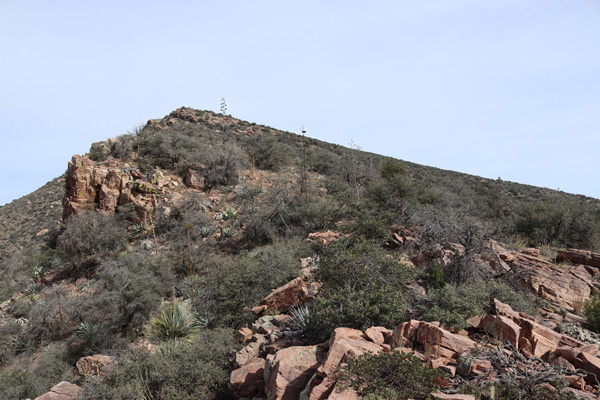 The summit ridge from the WSW Ridge.