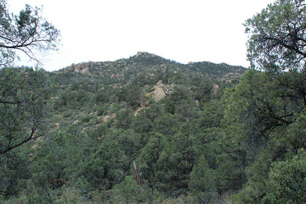 Looking up the east face towards the summit of Weaver Peak.