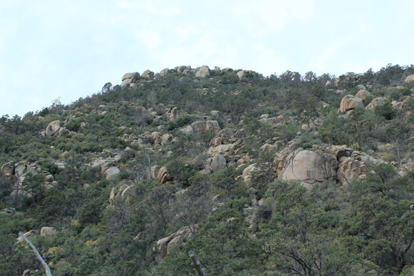 Getting closer, we traversed to the right to reach the north ridge and hopefully more open country.