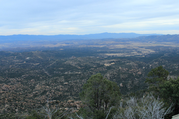 East towards the Bradshaw Mountains with our pond meadow below right of center.