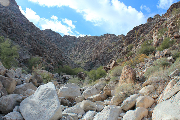 The boulder-strewn NE gully curves up and to the left