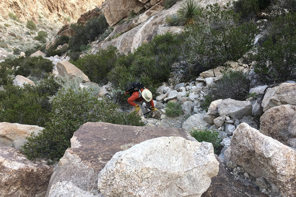 I climb over rock through occasional brush (Matthias Stender photo)