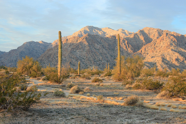 Sunrise on Copper Mountains Highpoint from the northeast