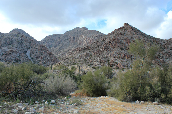 Copper Mountains Highpoint from the east. My route is up the facing gully to the saddle just visible on the left, then up the ridge to the right.