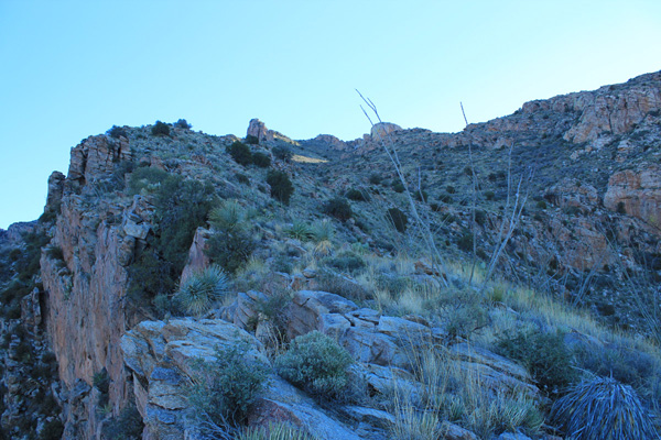 Looking up the SW ridge of Prominent Point towards the upper saddle