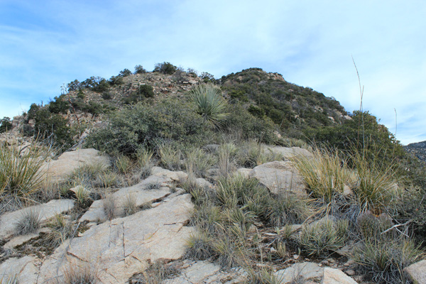 Climbing towards the Prominent Point summit, still hidden from view