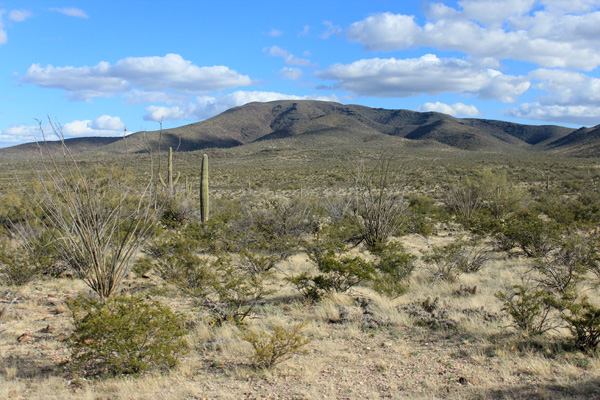 Cimarron Peak from our parking spot along the Pipeline Road