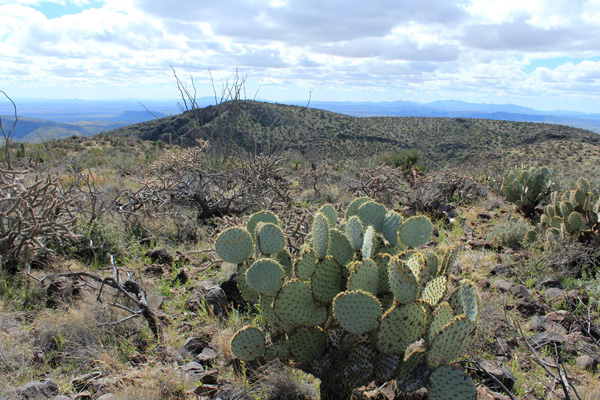 The southern summit, Cimarron Benchmark, is slightly lower