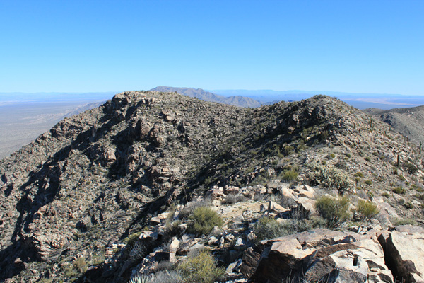 Northeast from Harcuvar Benchmark along the summit ridge.