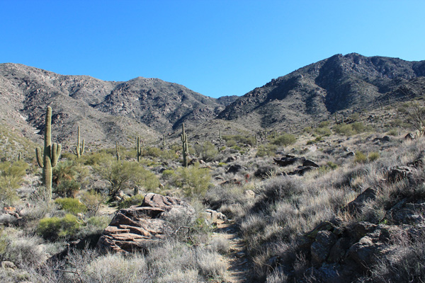 The view from the Harquahala Pack Trail which climbs over the high saddle ahead