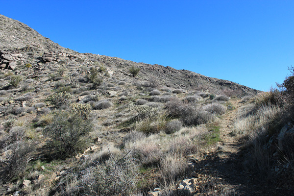 The Harquahala Mountain summit structures come into view as I approach the saddle