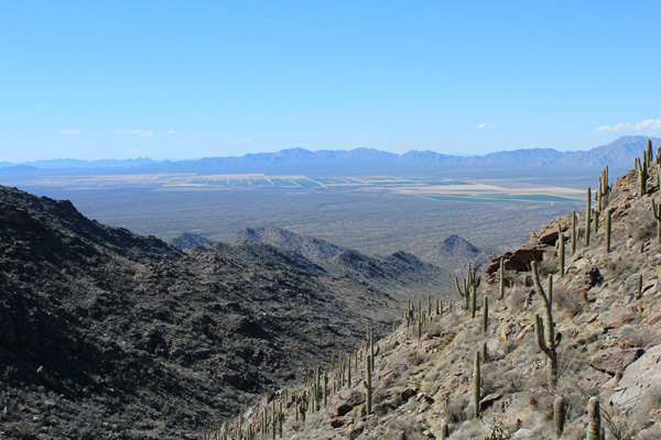 Salome Peak and Wenden from my descent of the Harquahala Pack Trail