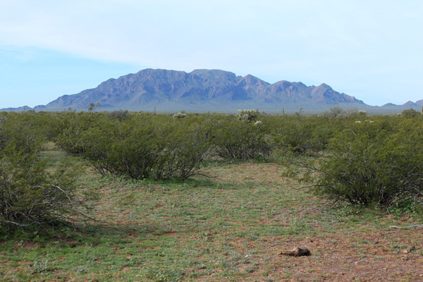 South Mountain from Arizona Highway 86 northeast of Sells