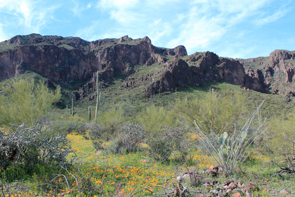 The east face of South Mountain from near the trailhead
