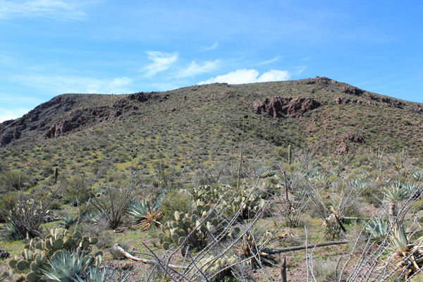 The open slope leading to the summit from the upper saddle