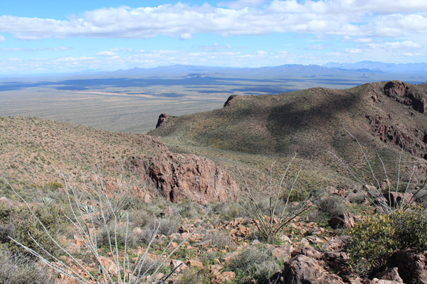 Northeast across the upper saddle towards the Comobabi Mountains