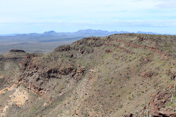 The Ajo Range to the west from the Mesquite Mountains highpoint