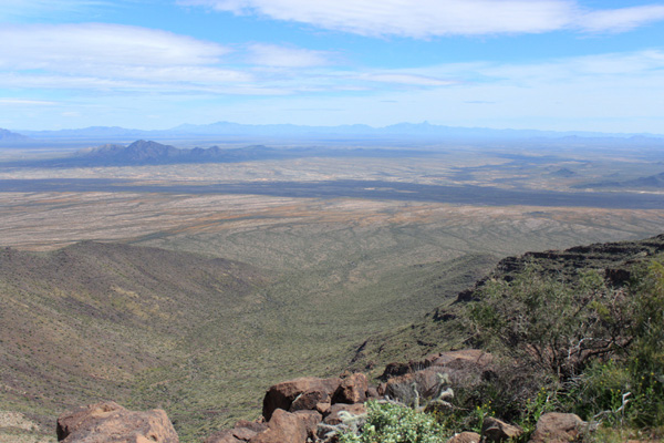 Looking down the east canyon from the Mesquite Mountains highpoint. The forest along the banks of the San Simon Wash forms the dark band beyond the canyon.