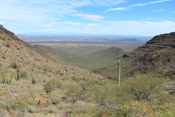 Descending into the east canyon. Our cars are in the forest far beyond the mouth of the canyon.