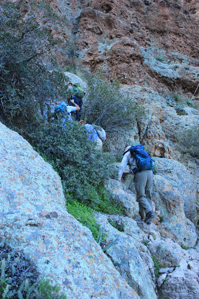 Scrambling up the Northwest Gully in morning shade