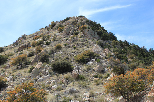 Forest Hill from the east saddle