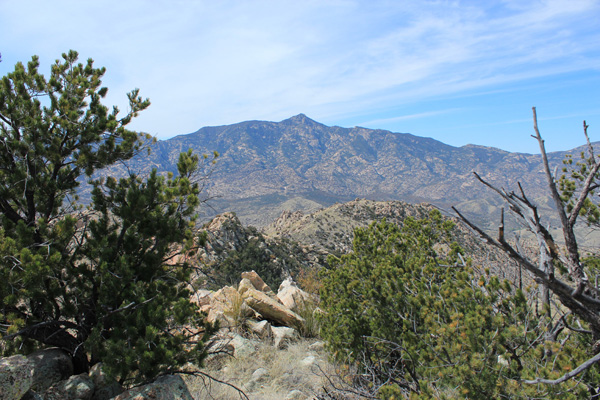 Rincon Peak to the west from the Forest Hill summit