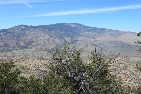 Mica Mountain, the highpoint of the Rincon Mountains, from the Forest Hill summit