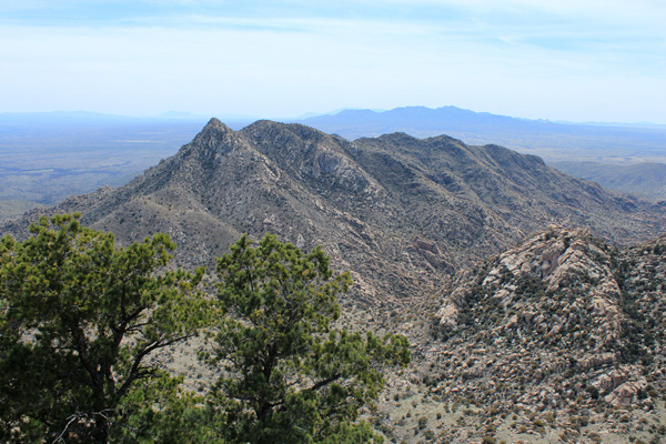 North Star Peak and the Whetstone Mountains in the distance from Forest Hill summit