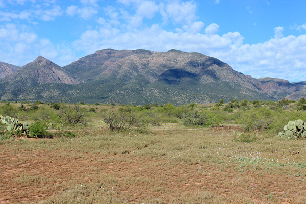 View of Mazatzal Peak from our campsite beside the Barnhardt Trail Road