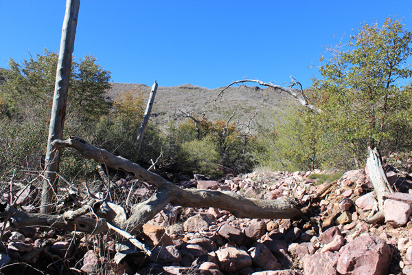 The rocky wash I climbed to avoid thick manzanita and oak.