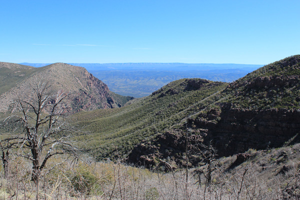 View back towards the top of the Barnhardt Canyon and the brushy north slopes