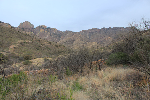 Baboquivari Mountains from near the Brown Canyon Environmental Education Center